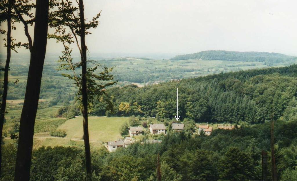 Ferienwohnung Unterschütz Ettenheim Exterior foto